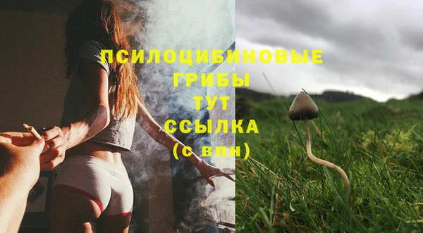 мет Арсеньев