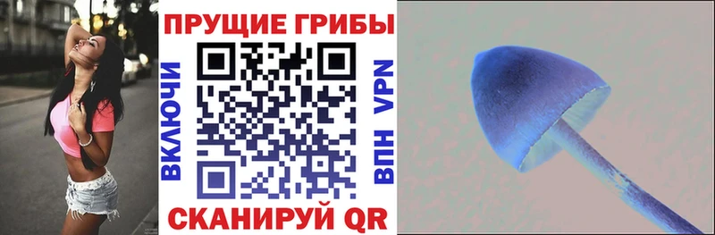 как найти наркотики  kraken ССЫЛКА  Псилоцибиновые грибы мухоморы  Тарко-Сале 